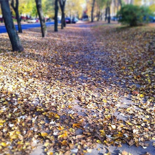 золотая осень в Минске