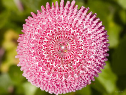 free download wallpaper ipad iphone mandala обои для экрана смартфона мандала бесплатно