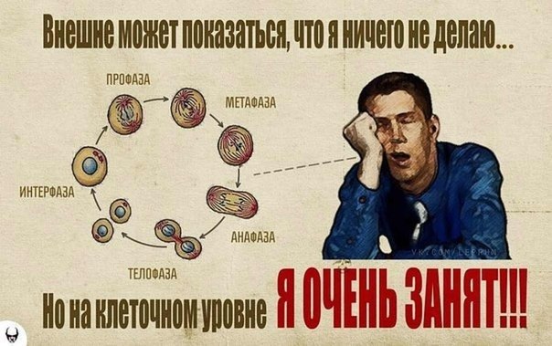 Как эффективно общаться с айтишниками